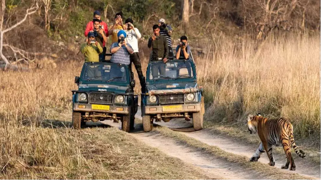 Jim Corbett Jeep Safari