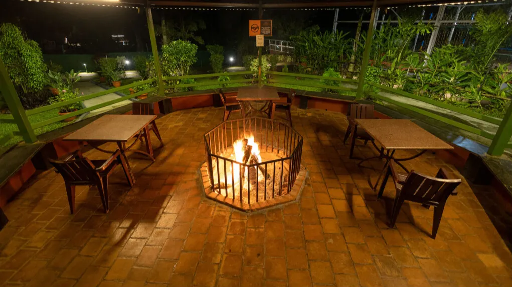 Bonfire / Campfire