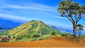 Bhadra Wildlife Sanctuary