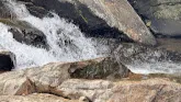 Monkey Falls