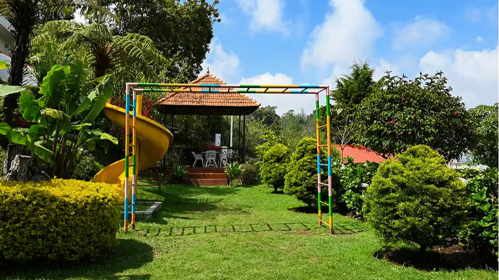 Play Area