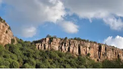 Ranthambore National Park