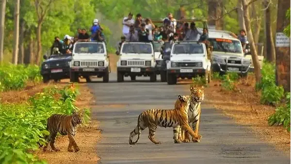 Sariska Wildlife Sanctuary​