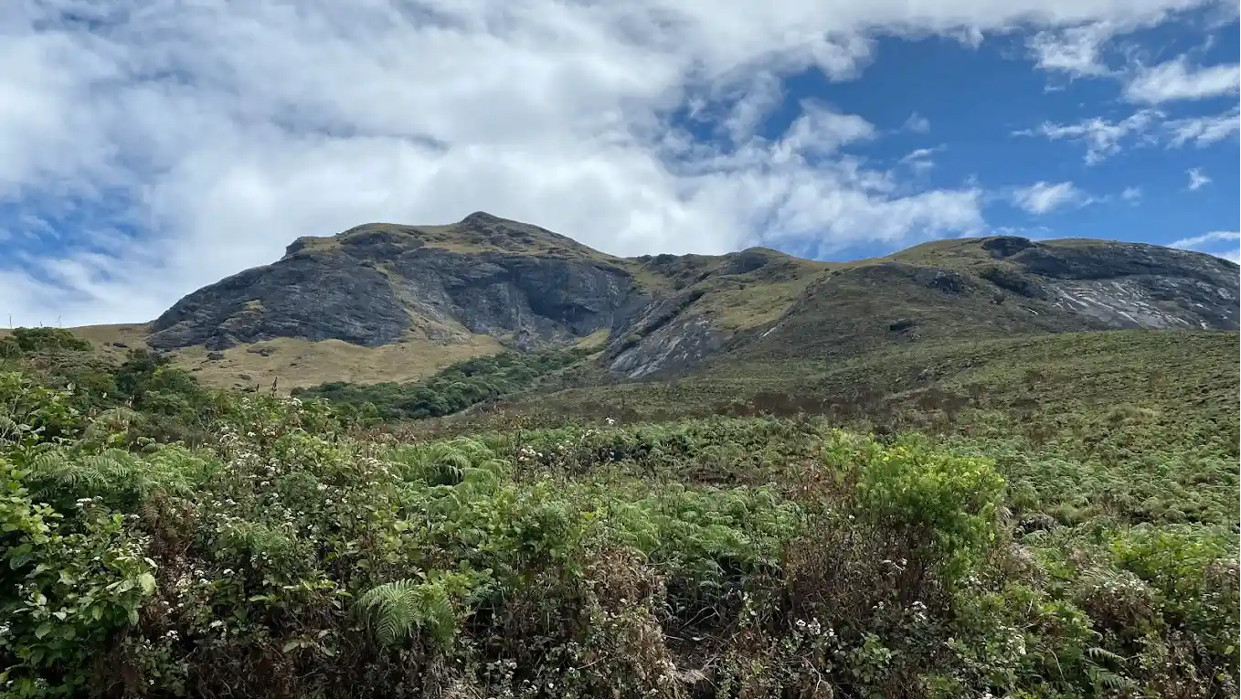 Eravikulam National Park