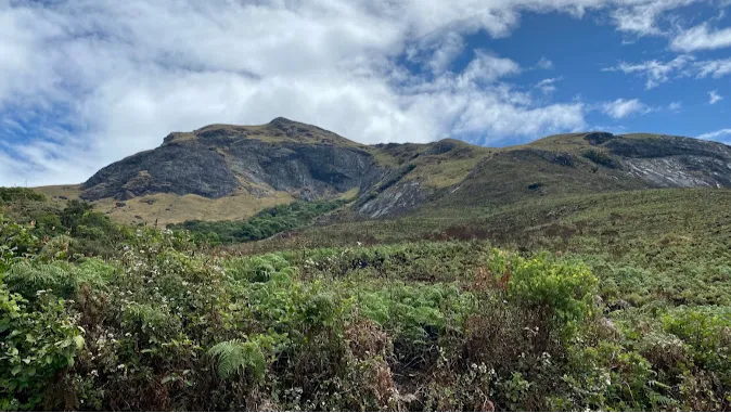 Eravikulam National Park