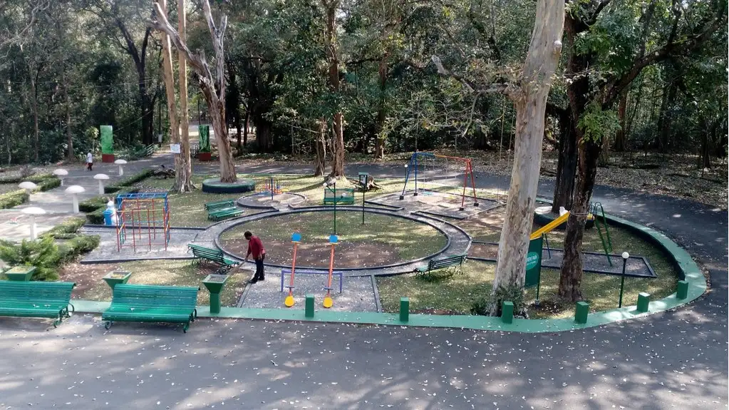 Play Area 