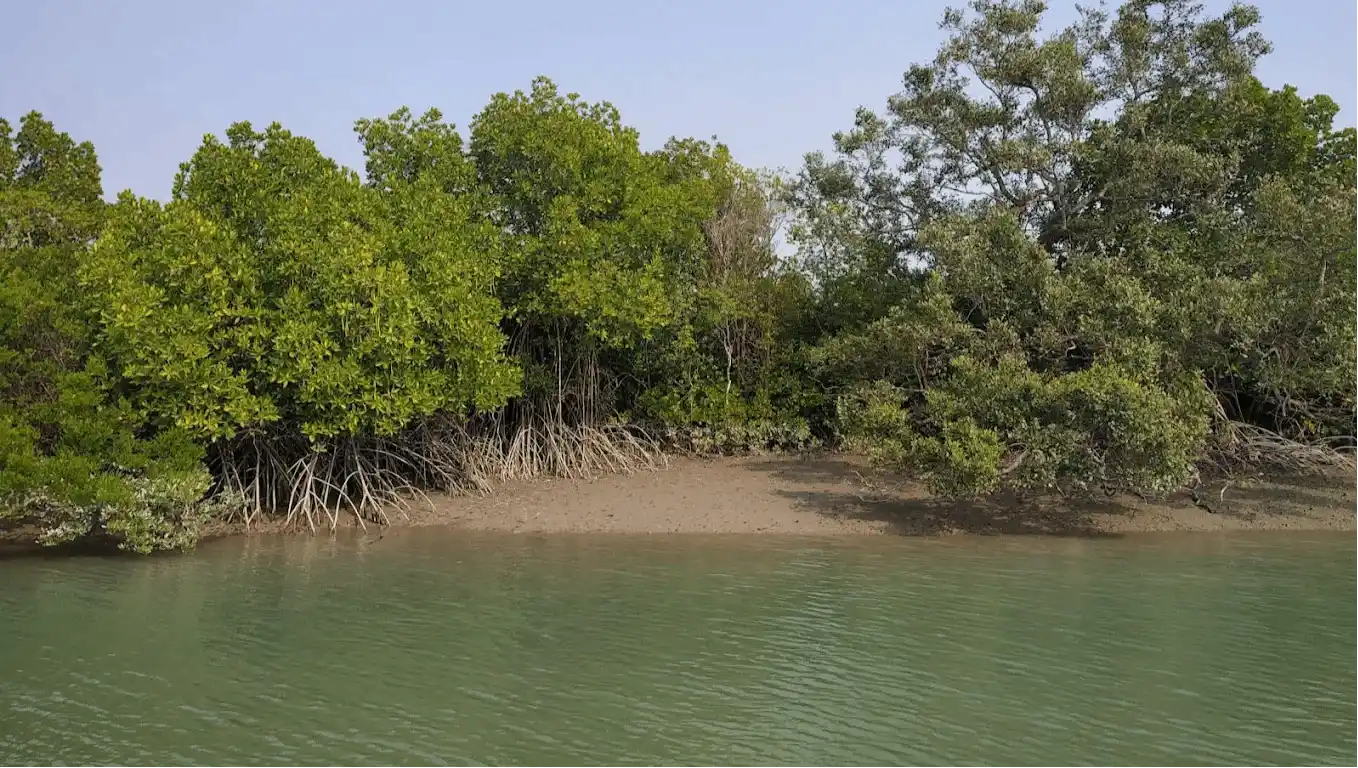 Sundarbans National Park