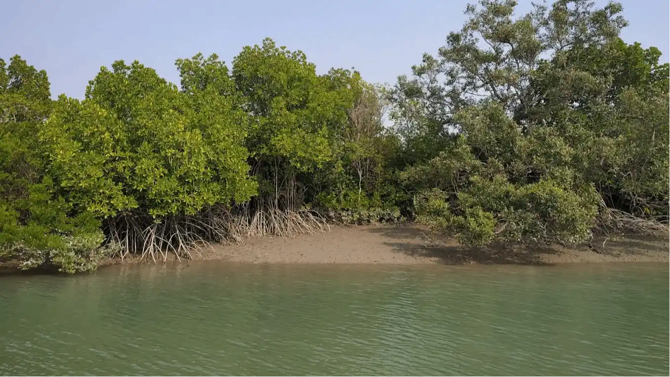 Sundarbans National Park