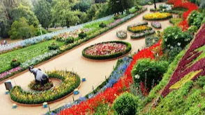 Zakir Hussain Rose Garden