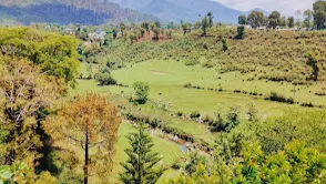 Palampur Tea Gardens