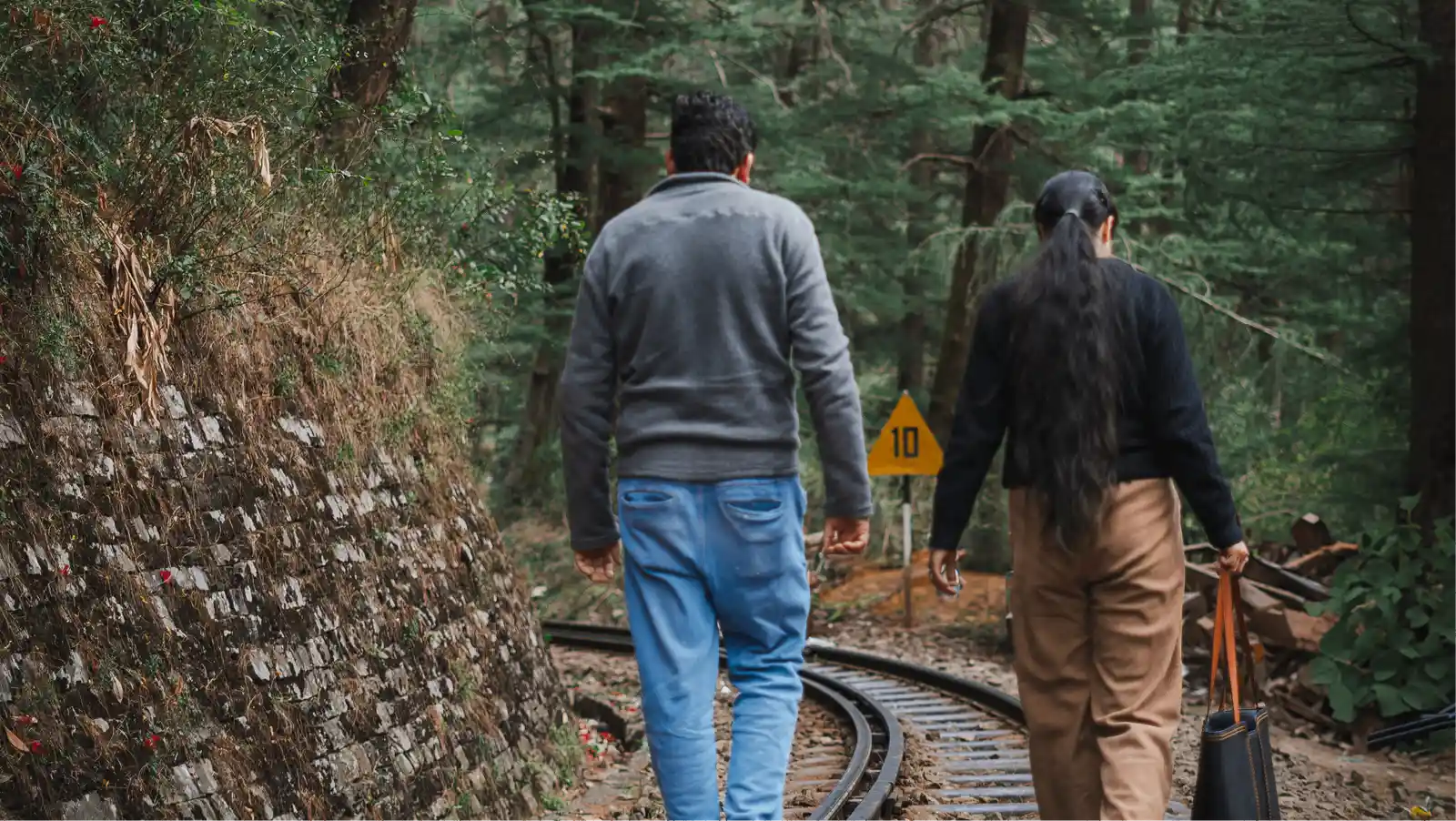 Peaceful Nature Environment