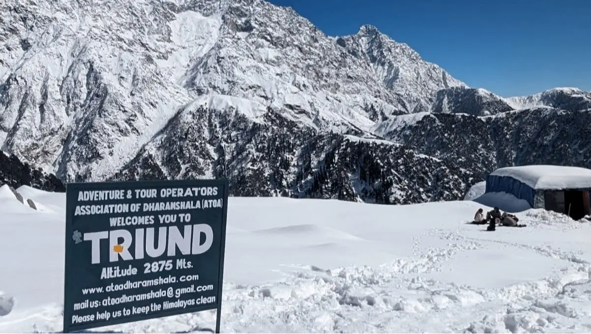 Triund Trek