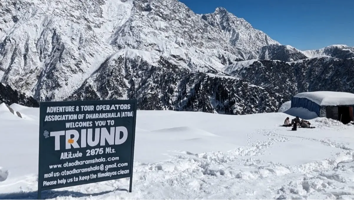  Triund Trek
