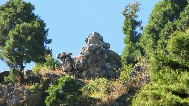 Camel's Back Road 