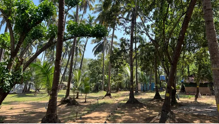 Kayaking At Private Island In Goa