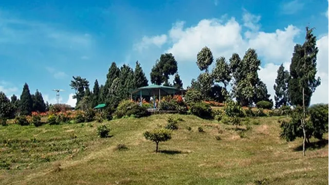 Delo Park