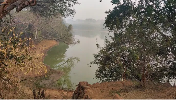 Forest Trail Hiking Adventure-Gurgaon