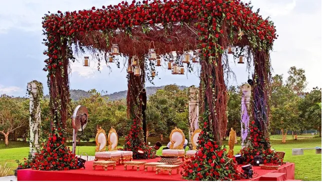 Perfect for Destination Weddings and Events