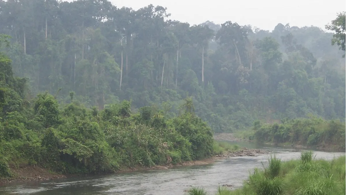 Dehing Patkai National Park