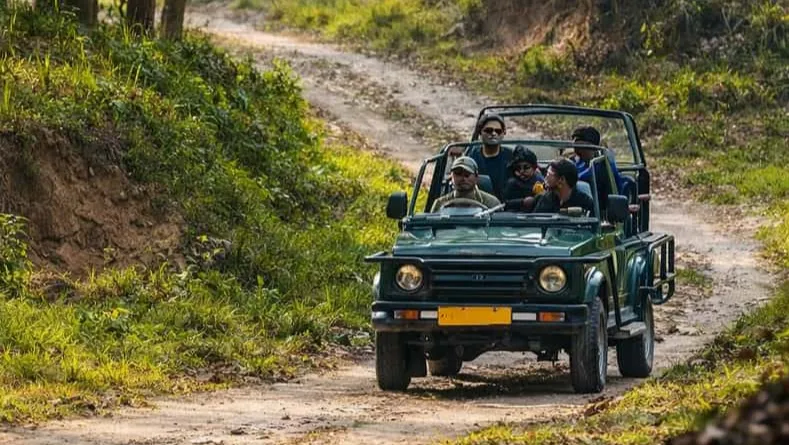 Chilla Range: Rajaji National Park Jeep Safari in Rishikesh