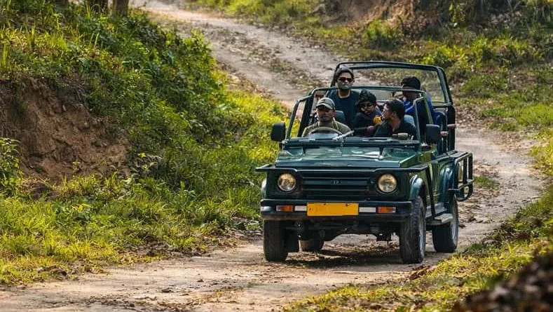 Chilla Range: Rajaji National Park Jeep Safari in Rishikesh