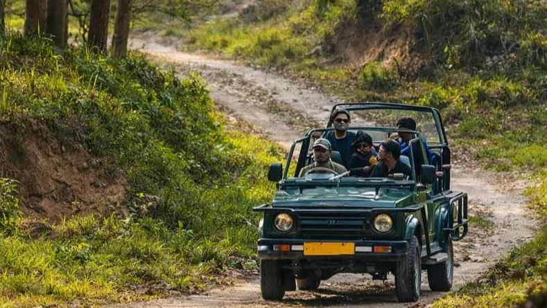 Chilla Range: Rajaji National Park Jeep Safari in Rishikesh
