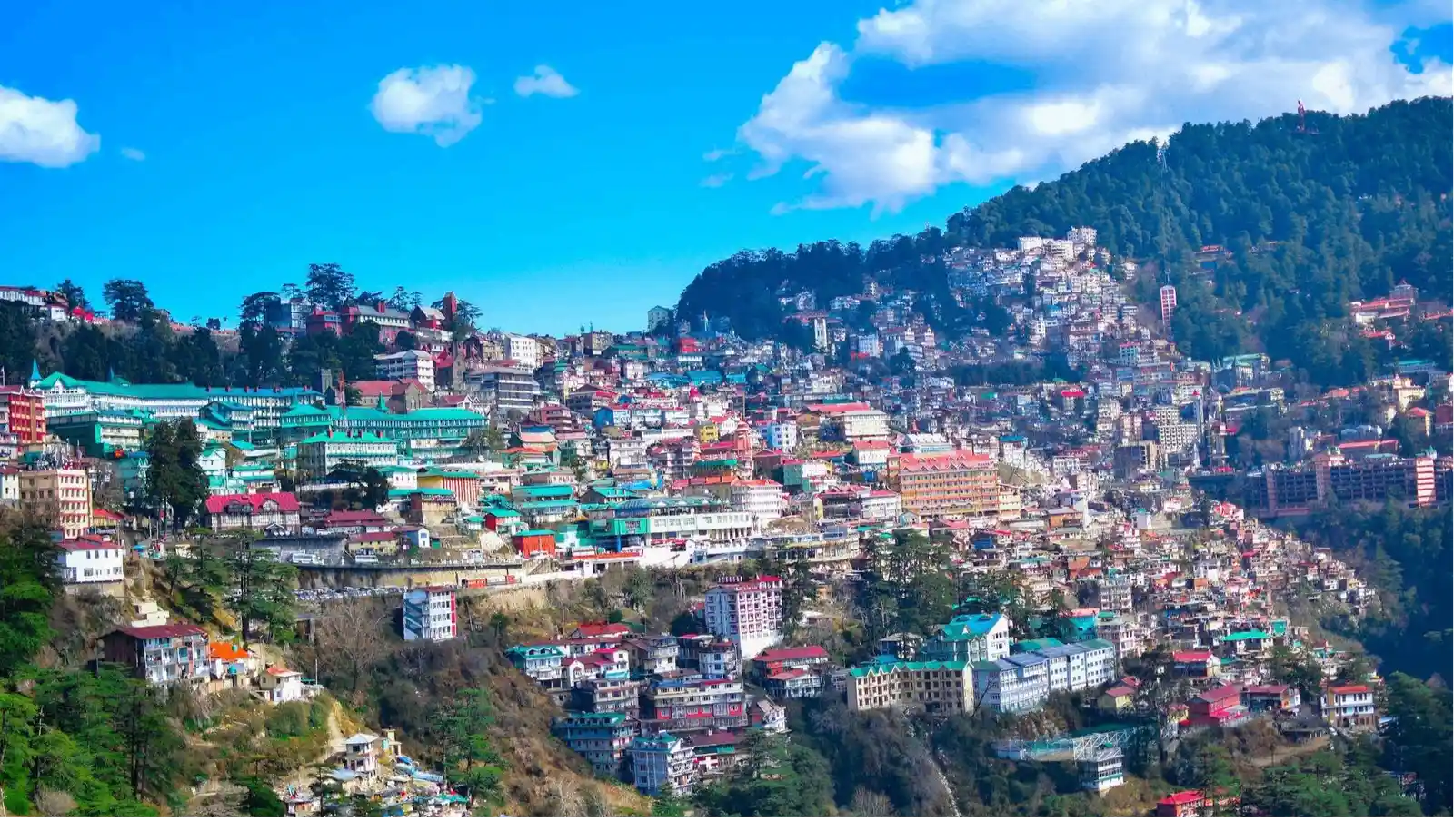 Shimla: Experience the Best of Shimla 