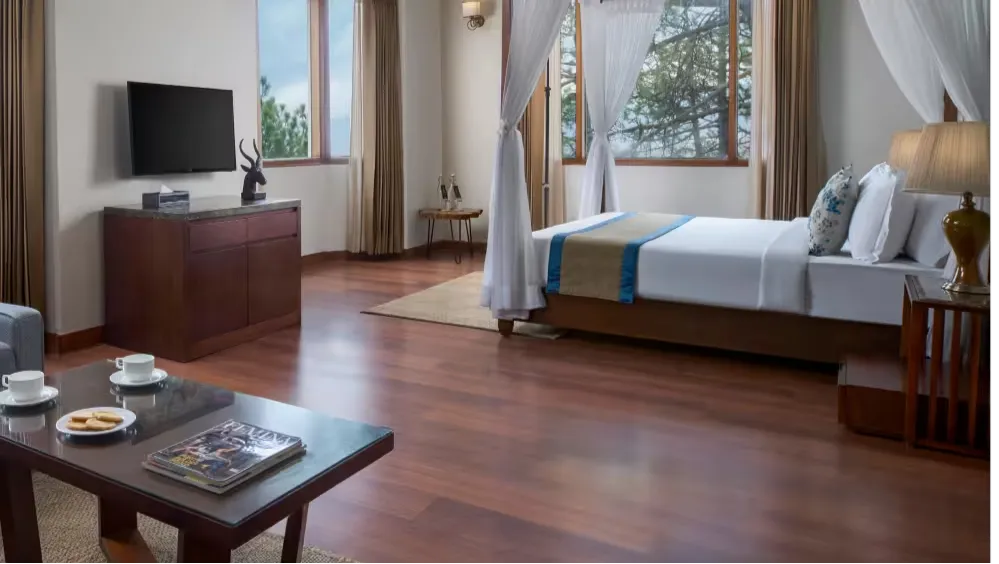  luxury suite room