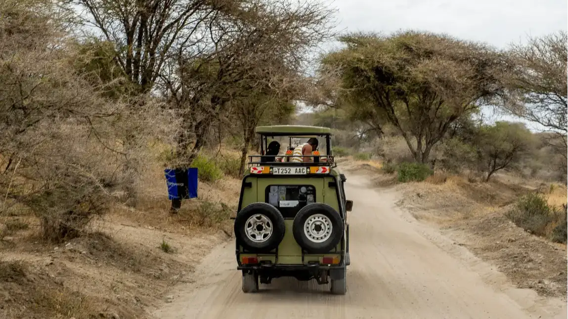 Dawn Safari & Bird Watching