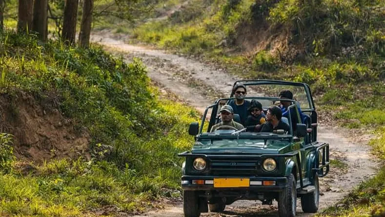 Corbett Jungle Safari