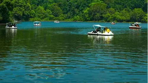 Pookode Lake