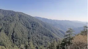 Green Valley Near Kufri