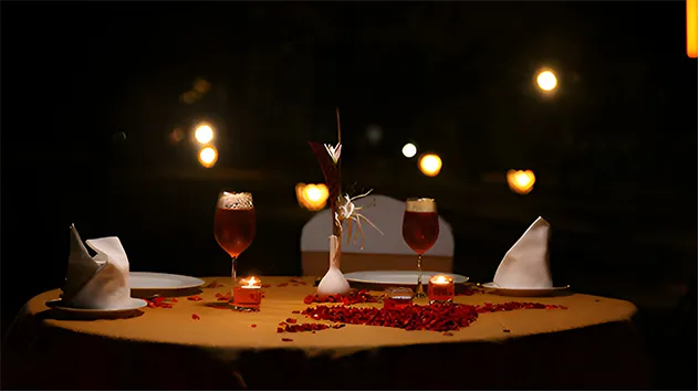 Private / Romantic Dininig