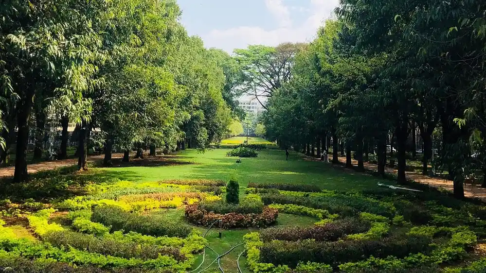 Cubbon Park 