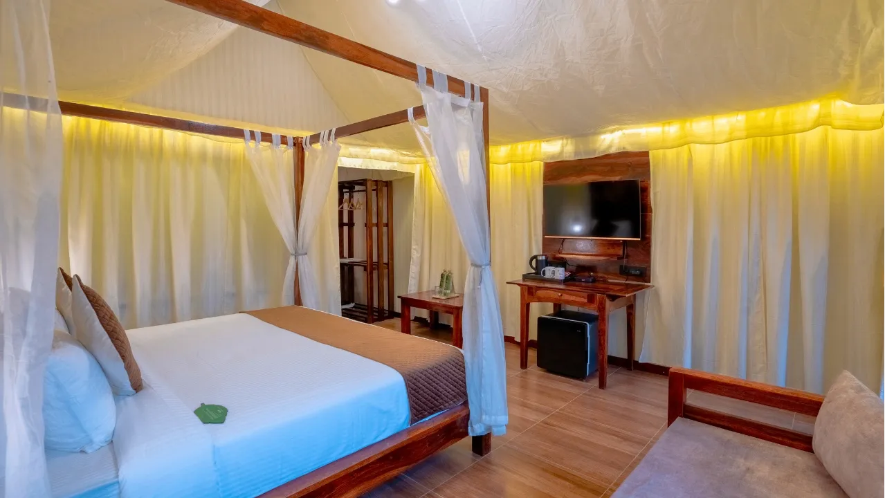 Green Heaven Tent