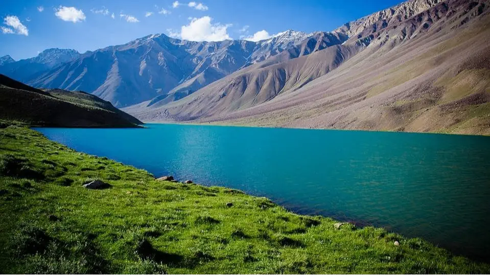 Auli
