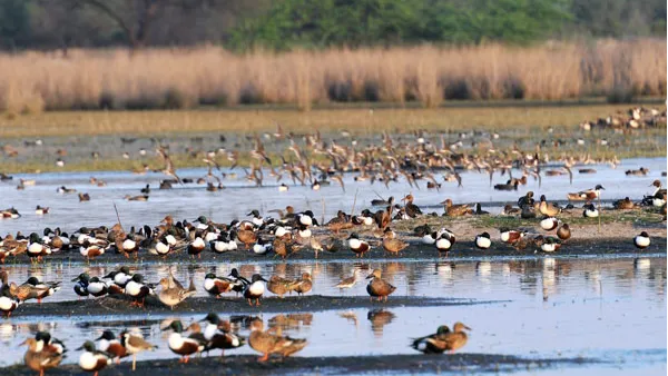 Sultanpur National Park