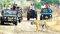 Private 6 Days Stepwell Tour in Rajasthan with Ranthambore Wildlife Safari