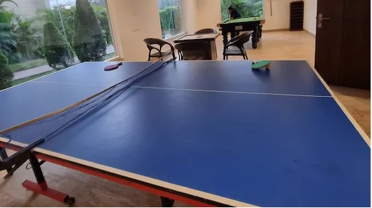 Play Area 
