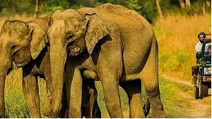 Jim Corbett Jeep Safari