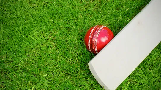 Cricket