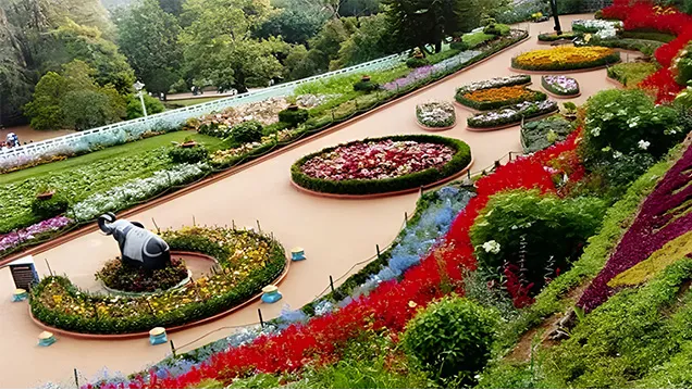 Rose Garden