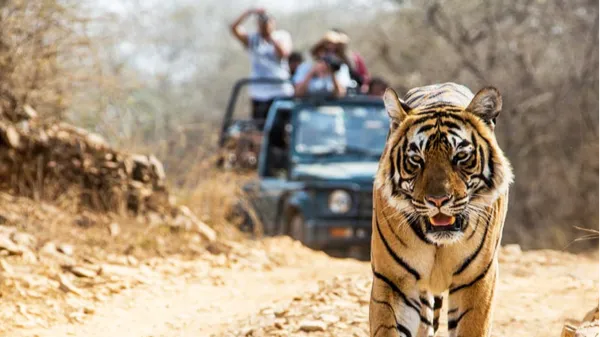 Corbett Park