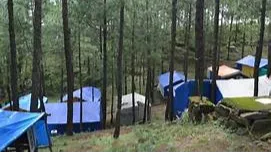 Pine Hills Eco Camp