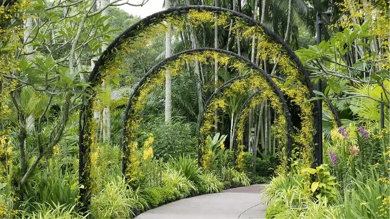 Singapore Botanic Gardens
