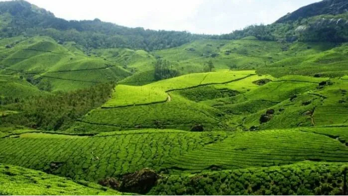 Munnar