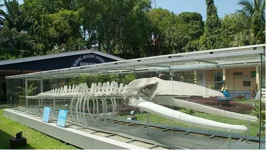 Samudrika Marine Museum