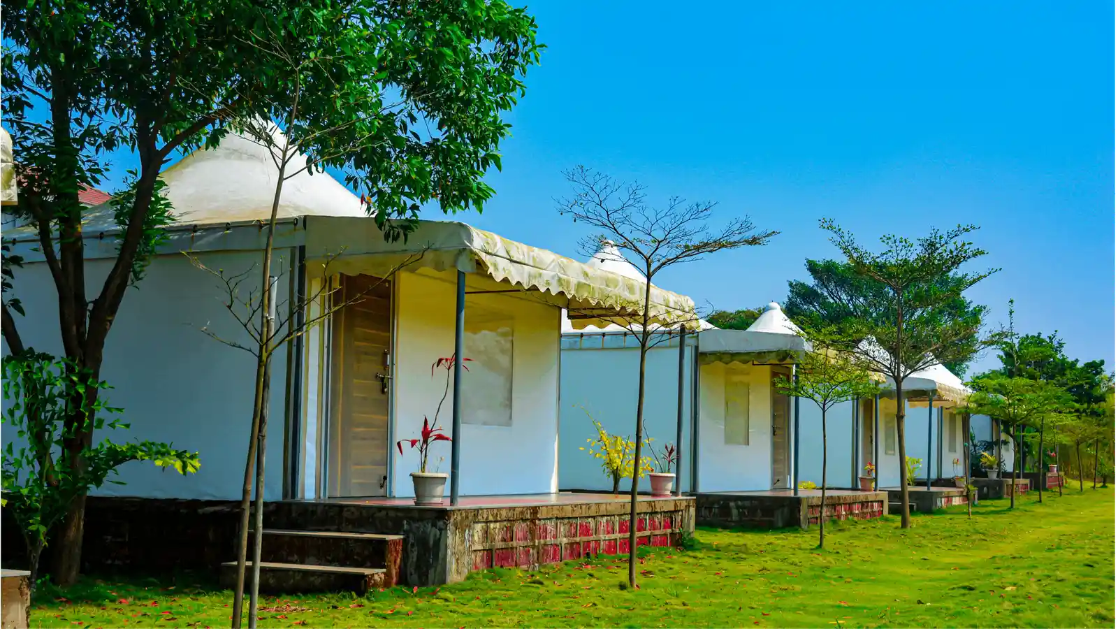 Tent