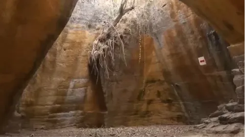 Naida Caves