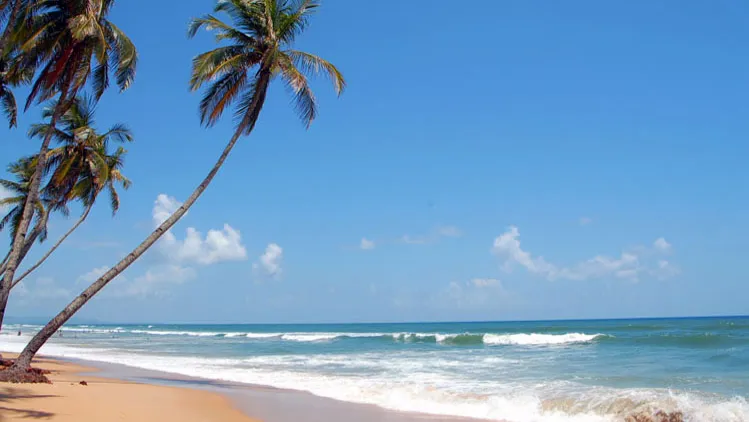 Colva & Benaulim Beaches
